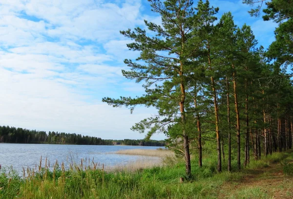 Natura altaya — Zdjęcie stockowe