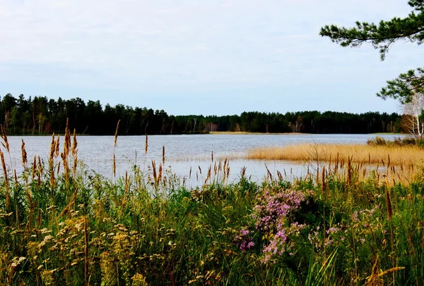 Natuur altaya — Stockfoto