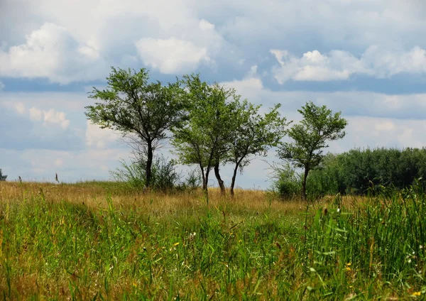 Natuur altaya — Stockfoto