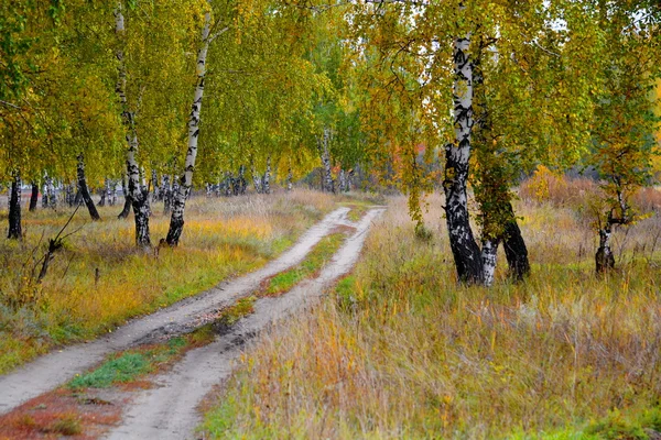Natura Altaya — Foto Stock