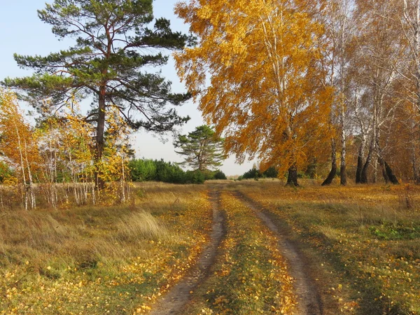 Natuur altaya — Stockfoto