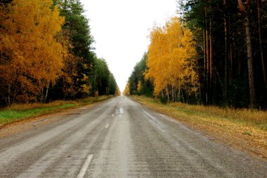 Bozkırlarında Altayabeautiful Etüdler
