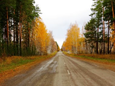 Bozkırlarında Altayabeautiful Etüdler