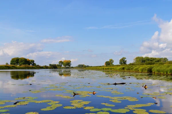 A puszták Altayabeautiful Etűdök — Stock Fotó