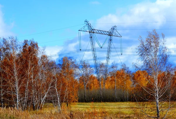 Elektrik Servisi — Stok fotoğraf