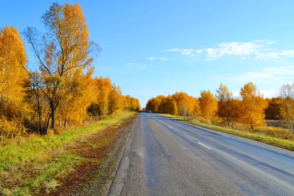 Cars  road nature — Stock Photo, Image