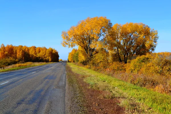 Auto strada natura — Foto Stock