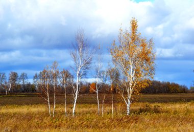 steepe altay sonbahar