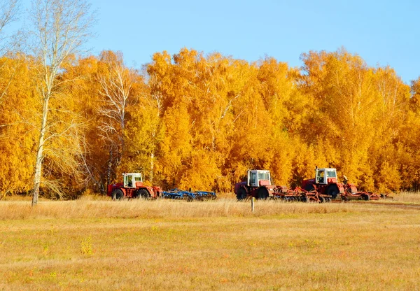 Nature Altaya bel automne — Photo