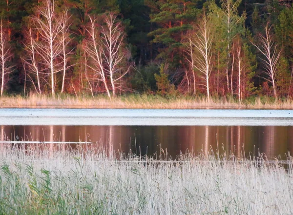 Natur altaya schönen Herbst — Stockfoto