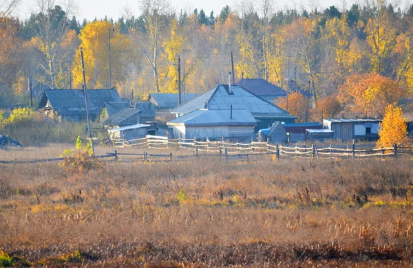 Natura Altaya pięknej jesieni — Zdjęcie stockowe