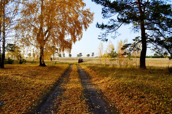 Алтая красивая осень — стоковое фото