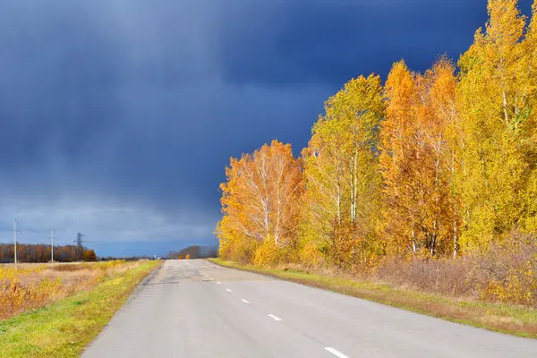 Nature Altaya beautiful autumn — Stock Photo, Image