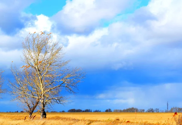 Natura Altaya bellissimo autunno — Foto Stock