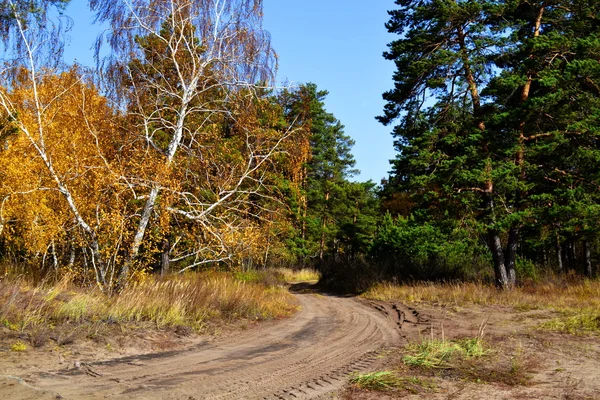 Natuur Altaya bevalt eye Artiest — Stockfoto