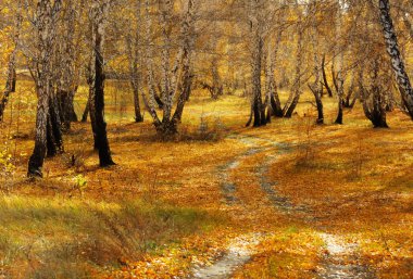 Doğa Altaya göz sanatçı mutlu