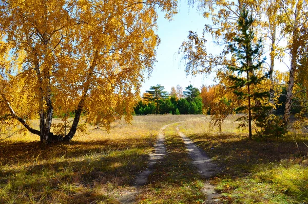 Luonto Altaya miellyttää — kuvapankkivalokuva