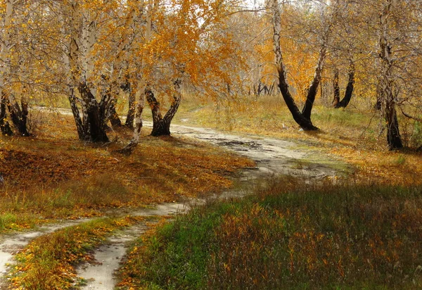 Naturaleza Altaya agrada —  Fotos de Stock