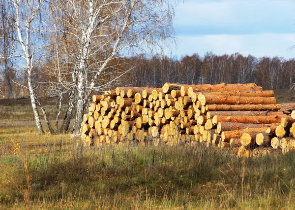 Natuur Altaya bevalt — Stockfoto