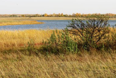 Doğa göz memnun eder.