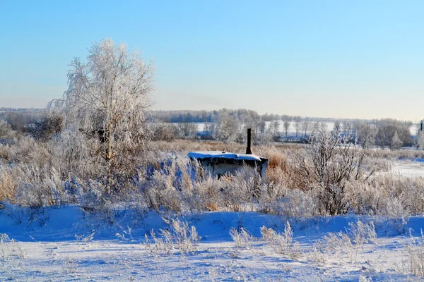 Naturaleza Altaya agrada a la vista —  Fotos de Stock