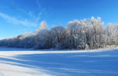 Doğa Altaya göz memnun eder.
