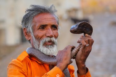 Jaipur, Hindistan - 14 Kasım: Kimliği belirsiz adam 14 Kasım 2014'te Hindistan'ın Jaipur kentinde sokakta bir kobra ile duruyor. Jaipur, Hindistan'ın Rajasthan eyaletinin başkenti ve en büyük şehridir..
