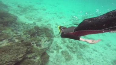 Santiago shore Adası Galapagos Milli Parkı, Ekvator yakınlarında dalış kadın