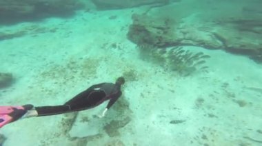 Santiago shore Adası Galapagos Milli Parkı, Ekvator yakınlarında dalış kadın