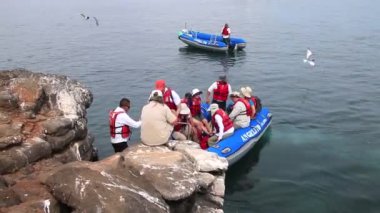 Kuzey Seymour, Ekvator - Nisan 19: Kimliği belirsiz kişi arazi üzerinde 19 Nisan 2015 adada Kuzey Seymour Galapagos Milli Parkı, Ekvator. Galapagos Milli Parkı Unesco Dünya Mirası olduğunu. 