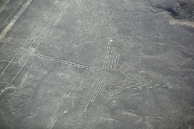 Nazca çizgileri - sinek kuşu geoglyph, Peru havadan görünümü.