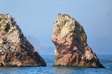 Peru 'daki Ballestas Adaları' nda kaya oluşumları