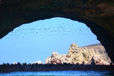 Peru 'daki Ballestas Adaları' nda kaya oluşumları