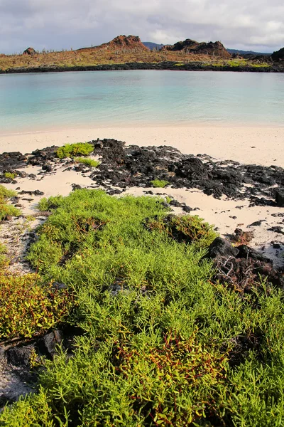 Santiago island sett från stranden av kinesiska hatt ön, Gala — Stockfoto
