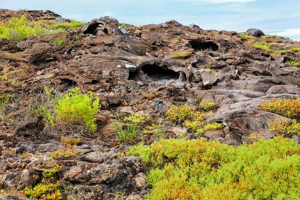 Lava buizen op Chinese Hat Island, Galapagos National Park, Ecuad — Stockfoto