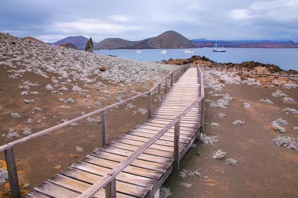 Paseo marítimo de madera en la isla Bartolomé, Parque Nacional Galápagos, E — Foto de Stock