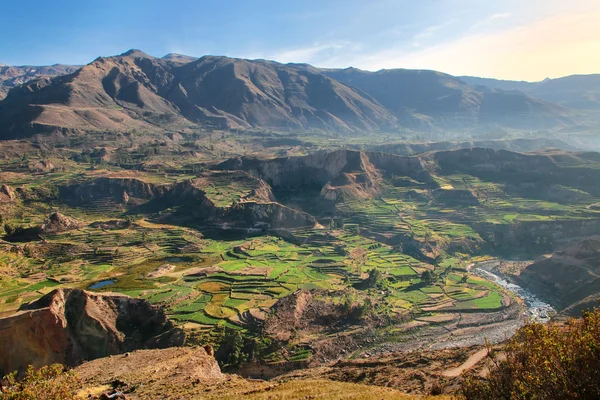 Terrazas escalonadas en el Cañón del Colca en Perú — Foto de Stock