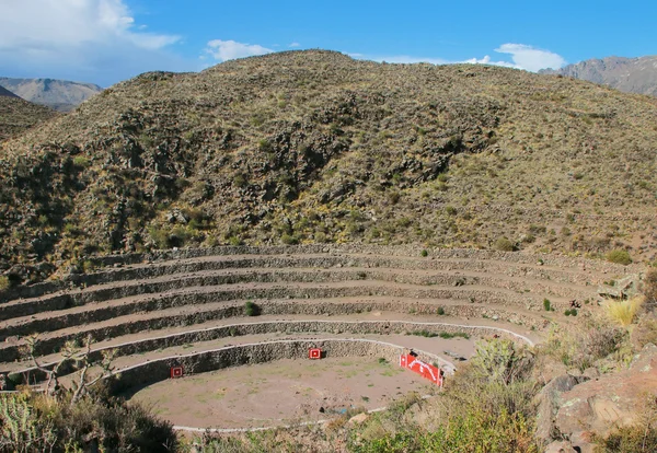 Arènes en Moquegua, Pérou — Photo