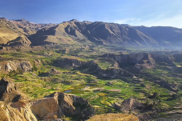 Terrazas escalonadas en el Cañón del Colca en Perú — Foto de Stock