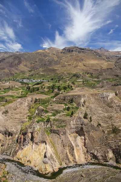 Vista del cañón del Colca en Perú — Foto de Stock