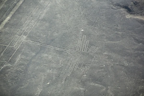 Luchtfoto van Nazca-lijnen - Hummingbird Geoglief, Peru. — Stockfoto