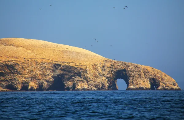 Formaciones rocosas en las Islas Ballestas Reserva en Perú —  Fotos de Stock