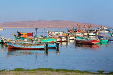 Paracas, Peru-Ocak 26: Renkli balıkçı tekneleri üzerinde 26 Ocak 2015 Paracas, Peru Paracas koyda demirlemiş. Paracas Paracas rezerv ve Ballestas Adaları ziyaret turistler için catering bir küçük liman kentidir.