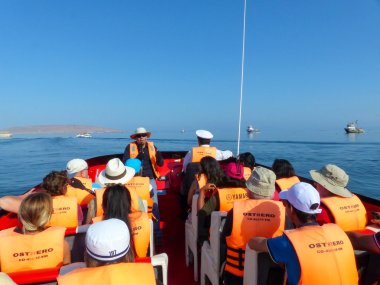 Paracas, Peru-26 Ocak: Kimliği belirsiz kişiler 26 Ocak 2015'te Pisco Körfezi'nde bir tur teknesinde oturacak. Paracas, Paracas Reserve ve Ballestas adalarını ziyaret eden turistlere hizmet veren küçük bir liman kentidir..