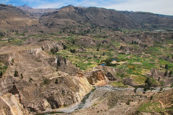 Vista do desfiladeiro de Colca no Peru — Fotografia de Stock