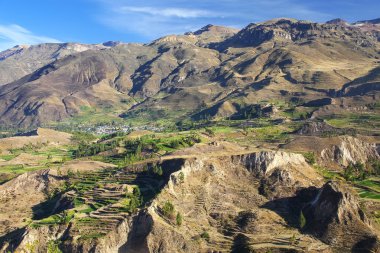 Peru Colca Kanyonu'nda basamaklı teraslar