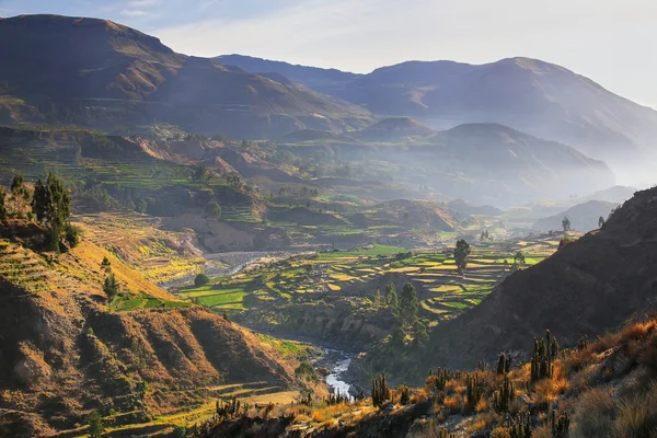 Vista del Cañón del Colca con niebla matutina en Perú — Foto de Stock