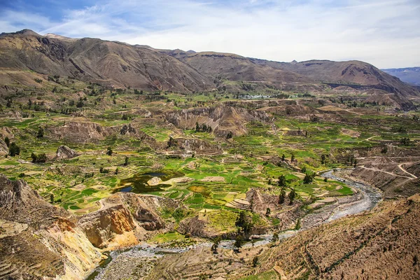 Vista del cañón del Colca en Perú — Foto de Stock