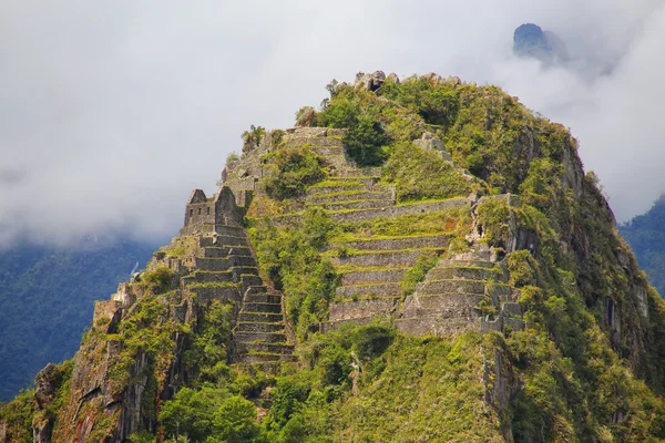Terrazas y edificios en la montaña Huayna Picchu en Machu Picchu — Foto de Stock