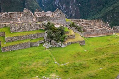 Inca Kalesi Peru Machu Picchu